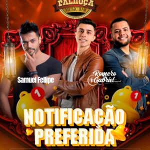 NOTIFICAÇÃO PREFERIDA